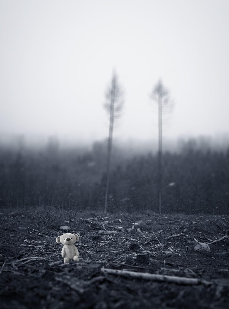 Sensibilisation au climat : comprendre l&rsquo;importance de pr&eacute;server notre plan&egrave;te