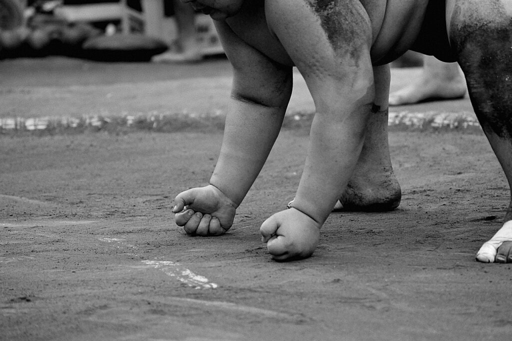 Lutte contre le changement climatique : strat&eacute;gies et actions pour un avenir durable