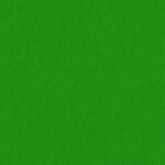 Transformation durable : pourquoi elle est essentielle pour l&rsquo;avenir de notre plan&egrave;te