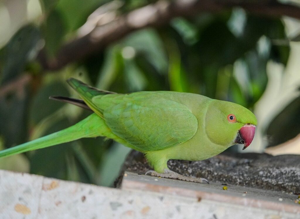 R&eacute;mun&eacute;ration &eacute;co-responsable : comment valoriser les initiatives durables en entreprise