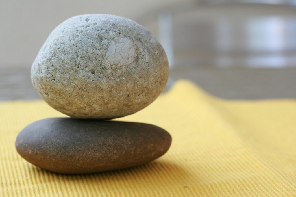 Inclusion sociale et environnementale : vers une soci&eacute;t&eacute; plus &eacute;quitable et durable