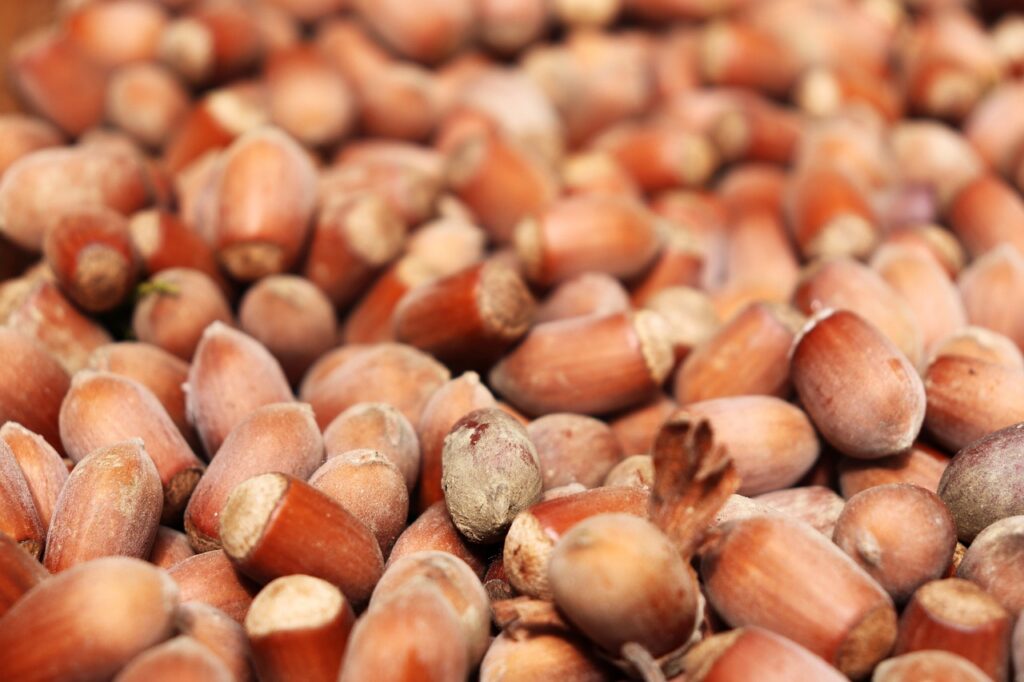 Produits z&eacute;ro d&eacute;chet : Adoptez un mode de vie plus durable