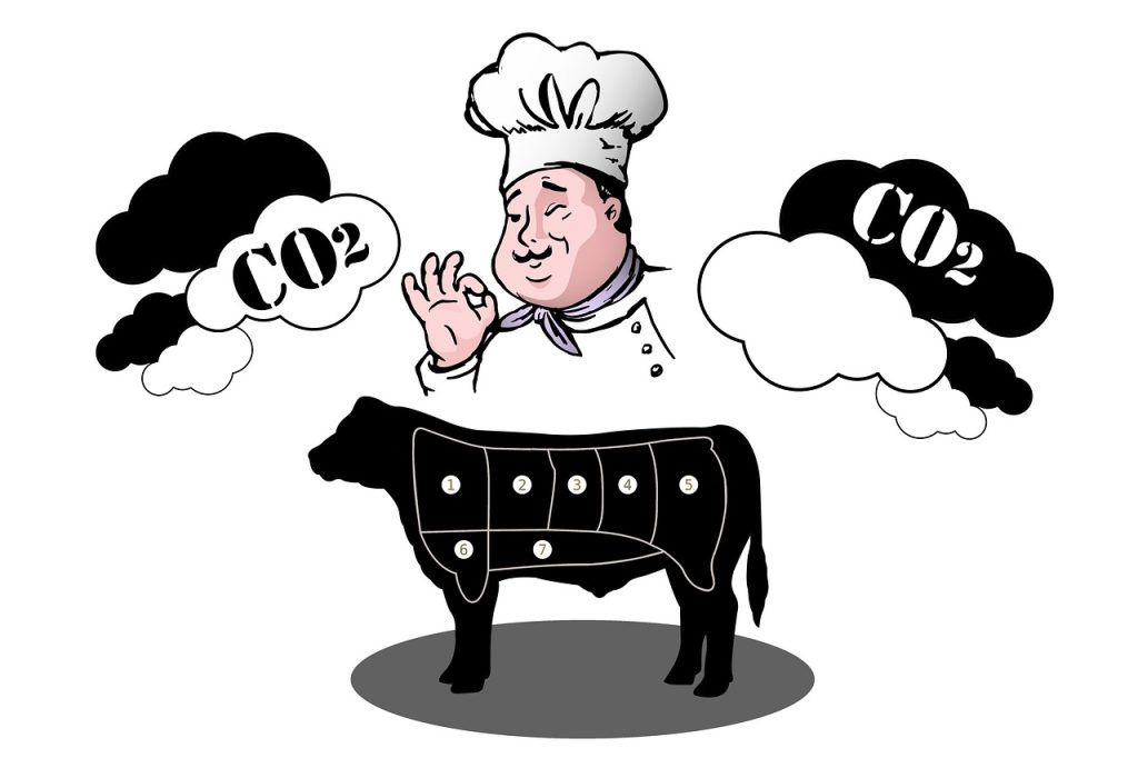 découvrez ce qu'est l'empreinte carbone, comment elle est calculée et les moyens efficaces pour la réduire afin de préserver l'environnement et lutter contre le changement climatique.