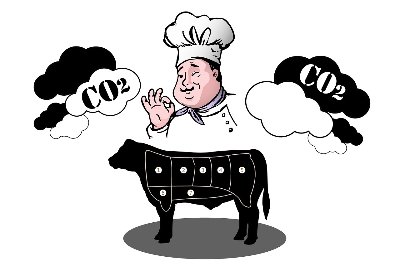 découvrez ce qu'est l'empreinte carbone, comment elle est calculée et des conseils pratiques pour réduire votre impact environnemental au quotidien.