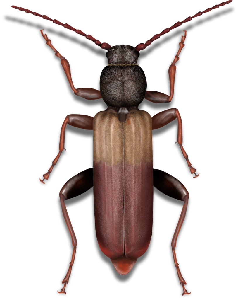 découvrez la digital ecology : un domaine alliant technologies numériques et respect de l'environnement pour un futur plus durable. conseils, innovations et actualités pour réduire l'impact écologique du numérique.