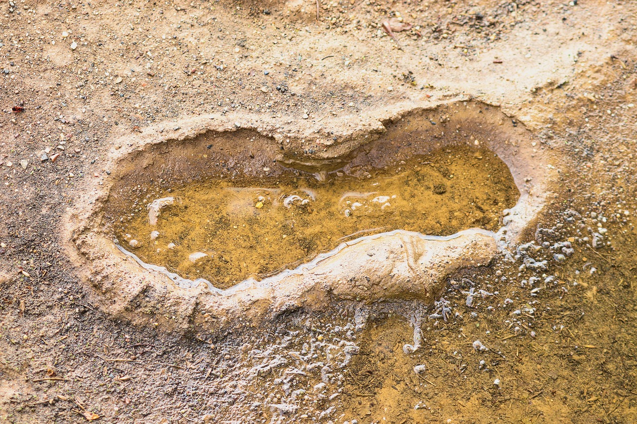 découvrez ce qu'est l'empreinte écologique, comment elle mesure l'impact de l'activité humaine sur l'environnement et des conseils pratiques pour réduire votre empreinte au quotidien.