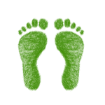 découvrez ce qu'est l'empreinte écologique, comment elle mesure l'impact de l'activité humaine sur la planète et quelles solutions adopter pour réduire votre impact environnemental au quotidien.