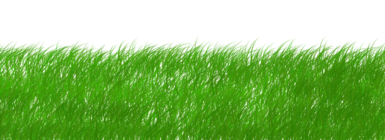 découvrez comment adopter des pratiques durables pour préserver l'environnement, favoriser l'économie circulaire et améliorer votre impact écologique au quotidien.