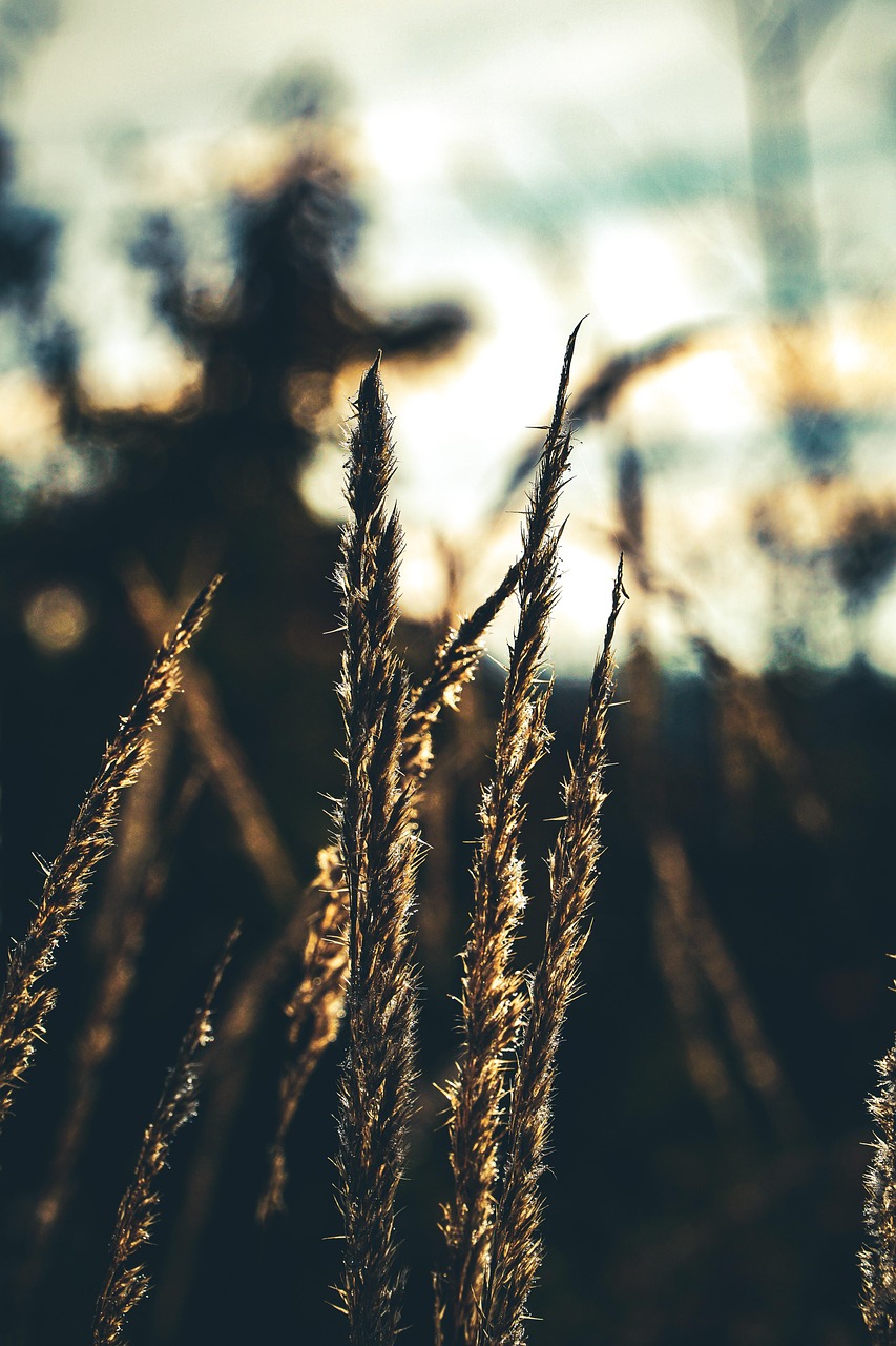 d&eacute;couvrez des astuces efficaces pour &eacute;conomiser l'eau au quotidien et r&eacute;duire votre consommation tout en prot&eacute;geant l'environnement.