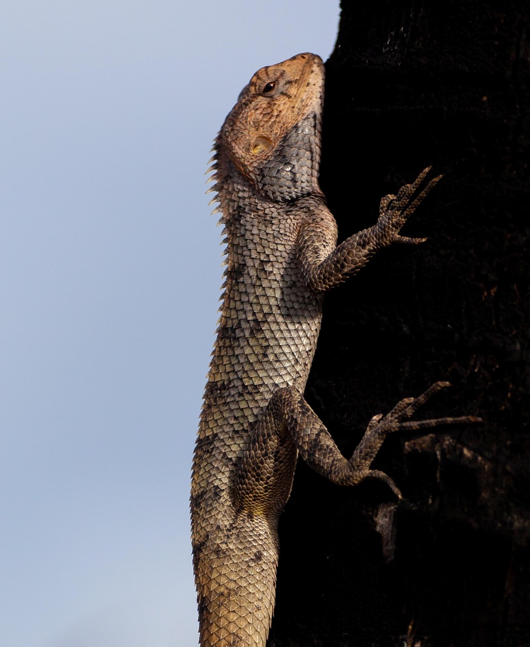 d&eacute;couvrez les initiatives de responsabilit&eacute; soci&eacute;tale des entreprises (rse) &agrave; maurice, favorisant un d&eacute;veloppement durable et un impact positif sur la communaut&eacute;.