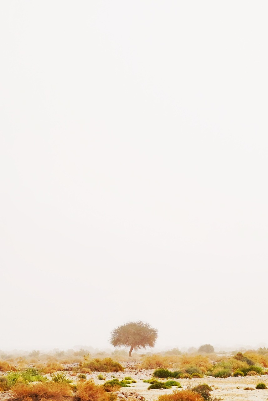 d&eacute;couvrez le minimalisme : un mode de vie et un style qui privil&eacute;gient la simplicit&eacute;, l'essentiel et l'harmonie pour une vie plus claire et sereine.