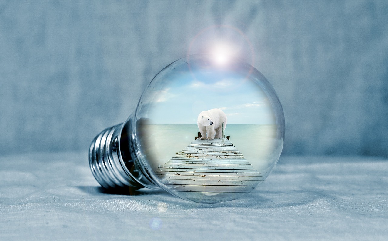 découvrez les enjeux et solutions de la transition énergétique pour un avenir durable et respectueux de l'environnement.