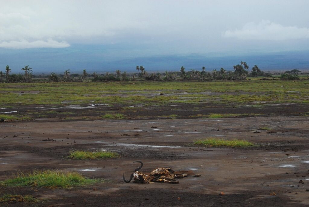 d&eacute;couvrez les enjeux majeurs de la crise climatique actuelle et comment elle impacte notre plan&egrave;te, ainsi que les actions n&eacute;cessaires pour un avenir durable.