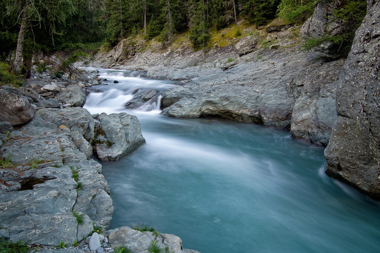 d&eacute;couvrez tout sur l'environnement : protection, d&eacute;veloppement durable, biodiversit&eacute; et actions pour pr&eacute;server notre plan&egrave;te.