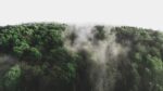 d&eacute;couvrez tout sur l'environnement : protection, enjeux &eacute;cologiques et actions durables pour pr&eacute;server notre plan&egrave;te.